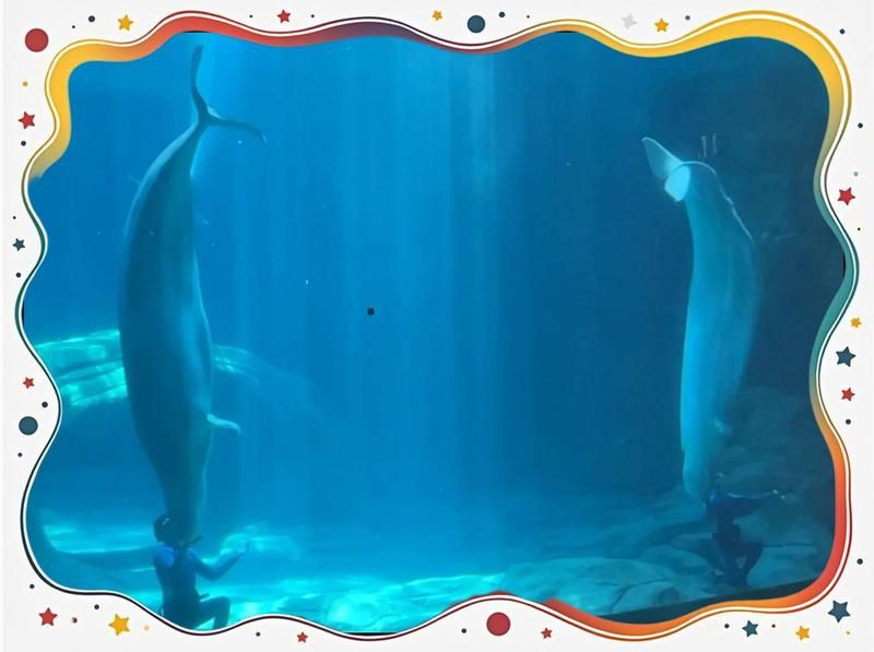 鯨魚在男女之間的含義