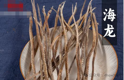 哪些人群不適合食用海龍？