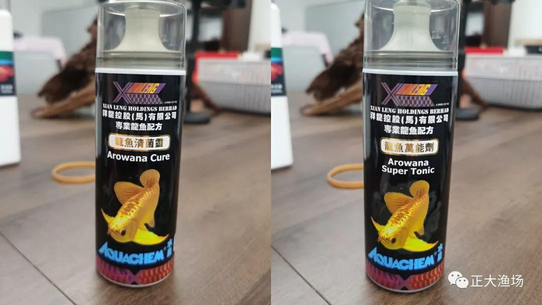 紅龍魚眼睛長(zhǎng)白蒙眼怎么辦（紅龍魚眼睛有白膜怎么辦）