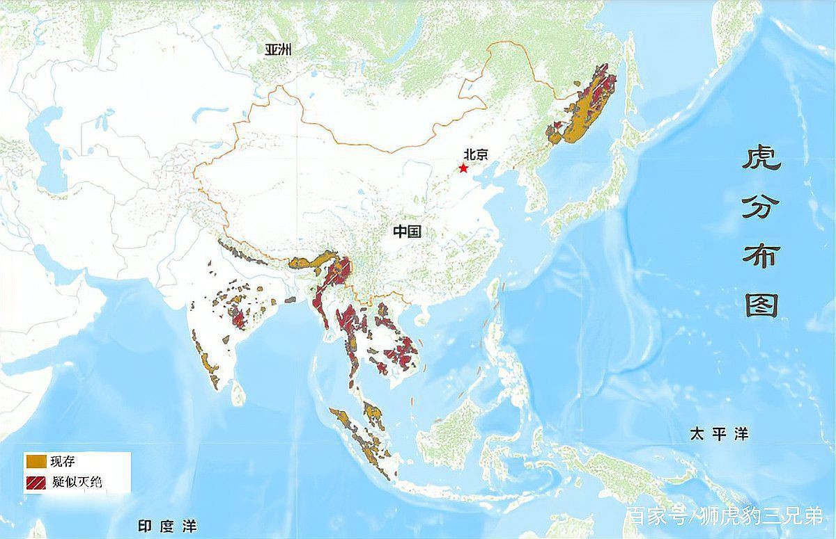 老虎是中國本土動物嗎