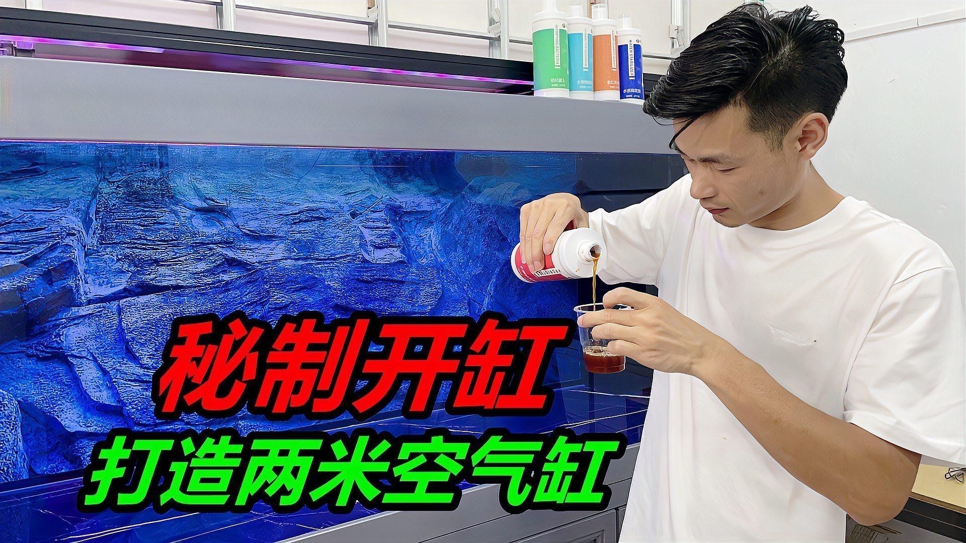 如何設(shè)置白子招財龍的飼養(yǎng)箱？