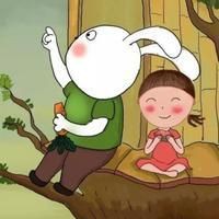 鯨魚和鯊魚的區(qū)別圖片 外觀