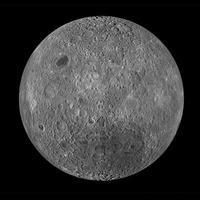 鯨魚和鯊魚的區(qū)別圖片 外觀