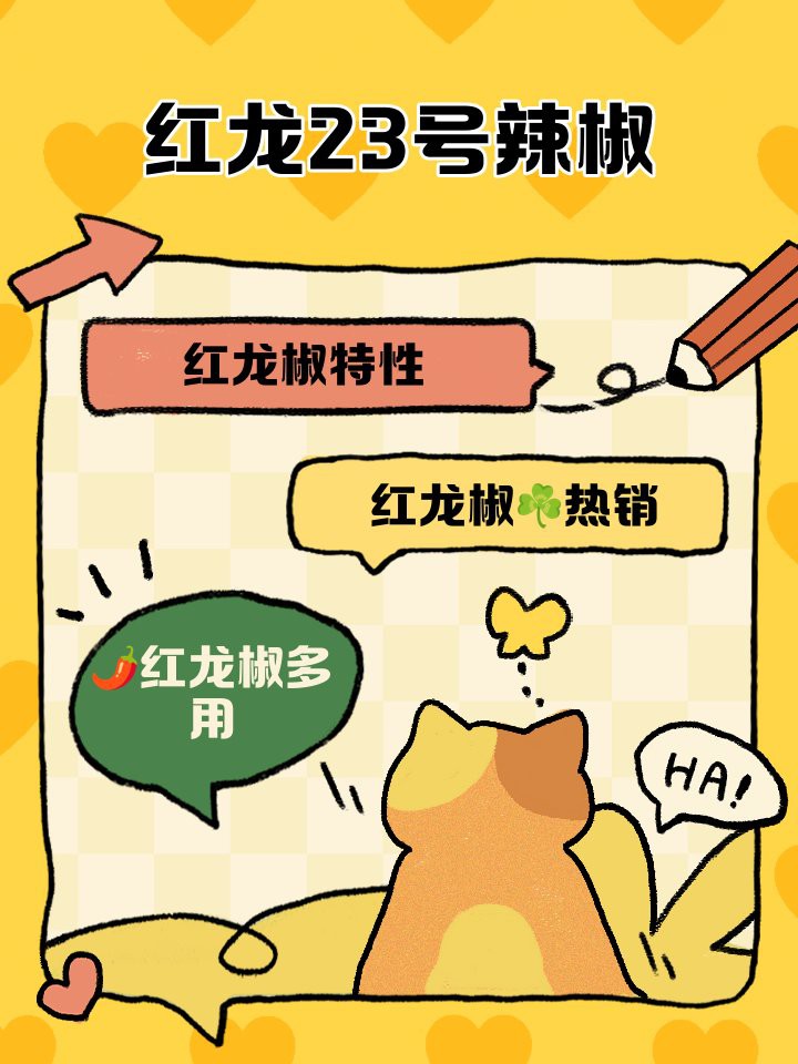 辣椒紅龍的市場需求如何 辣椒紅龍的市場需求如何 龍魚百科 第2張