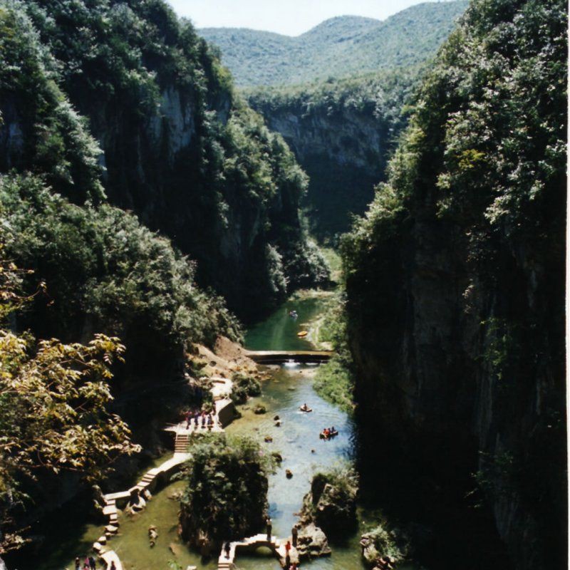 金龍漁場最著名的三個地方 金龍漁場最著名的三個地方 龍魚百科 第5張