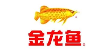 金龍魚一年利潤多少：金龍魚一年的利潤約為10億人民幣 金龍魚一年利潤多少：金龍魚一年的利潤約為10億人民幣 龍魚百科 第4張