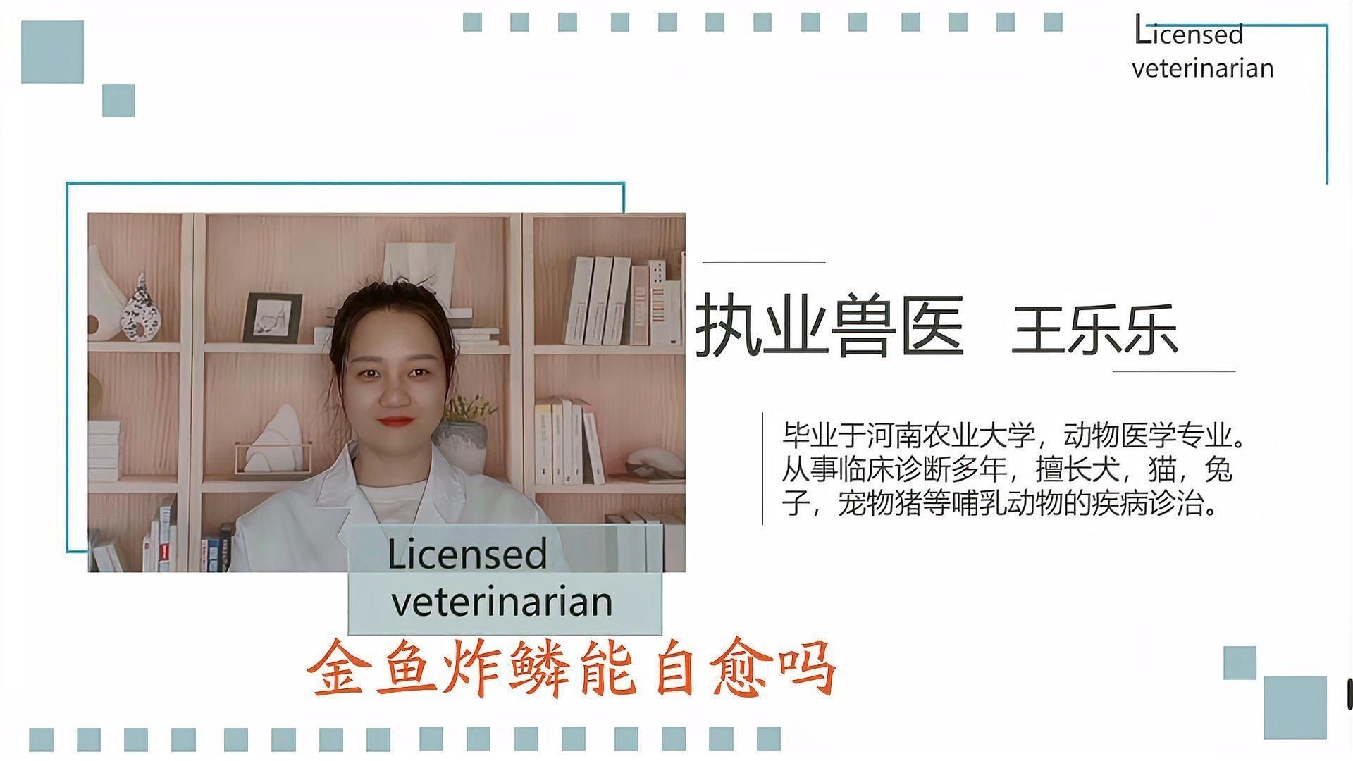 金魚炸鱗自愈后還會復發嗎？