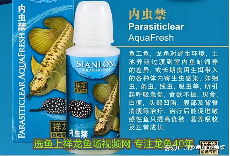 哪種藥物是龍魚檢疫的必備品？