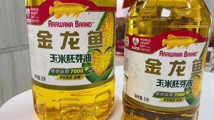 金龍魚吃不進去東西：金龍魚不吃東西怎么辦