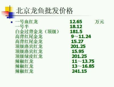 北京龍魚價(jià)格查詢表（北京龍魚價(jià)格查詢表詳細(xì)信息：北京龍魚價(jià)格有所上漲）