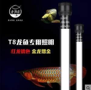 十大龍魚燈排名品種（專業級龍魚燈品牌有哪些？）