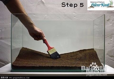 玻璃做魚缸怎么粘才牢固:如何自制玻璃魚缸 龍魚缸背景畫法:30篇龍魚缸背景圖】龍魚缸背景畫法教程 龍魚百科 龍魚缸背景畫法:30篇龍魚缸背景圖】龍魚缸背景畫法教程 龍魚缸背景畫法:30篇龍魚缸背景圖】龍魚缸背景畫法教程 龍魚百科