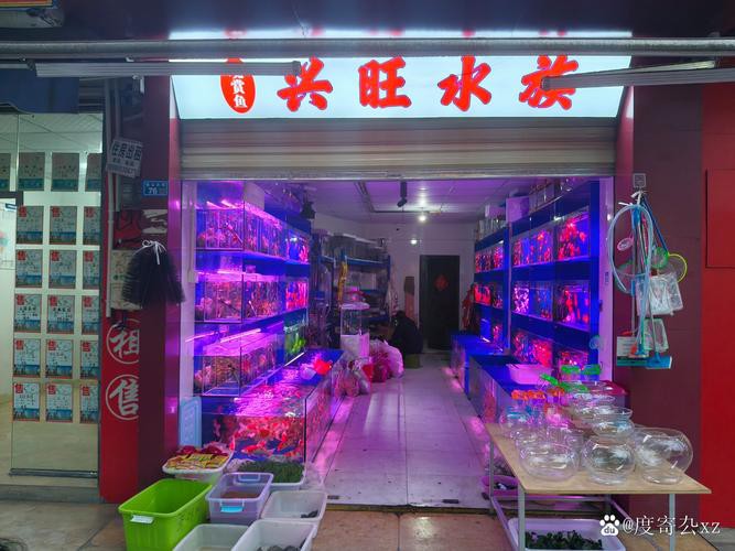 推薦幾個龍魚市場加盟品牌