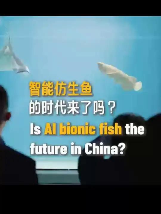 推薦幾個(gè)龍魚(yú)市場(chǎng)加盟品牌