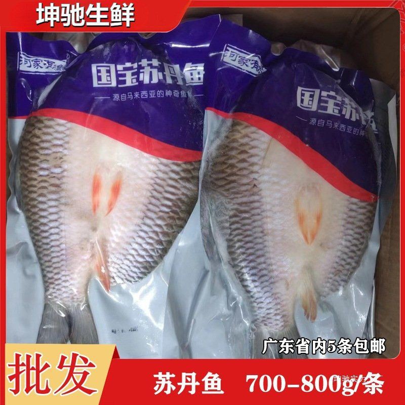 馬來忘不了魚價格一覽表