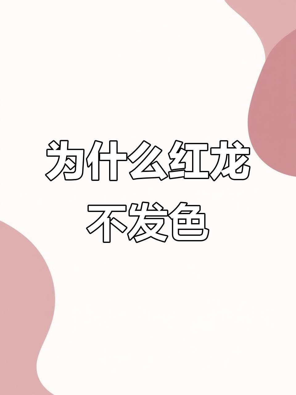 紅龍魚發(fā)色失敗后如何恢復？