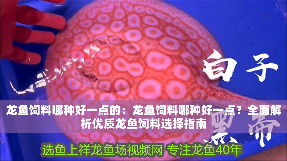 龍魚(yú)飼料哪種好一點(diǎn)的：龍魚(yú)飼料哪種好一點(diǎn)？全面解析優(yōu)質(zhì)龍魚(yú)飼料選擇指南