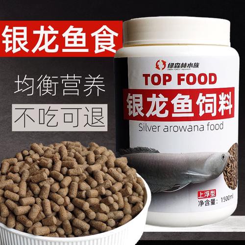 銀龍魚一般喂什么魚料 銀龍魚一般喂什么魚料 龍魚百科 第4張