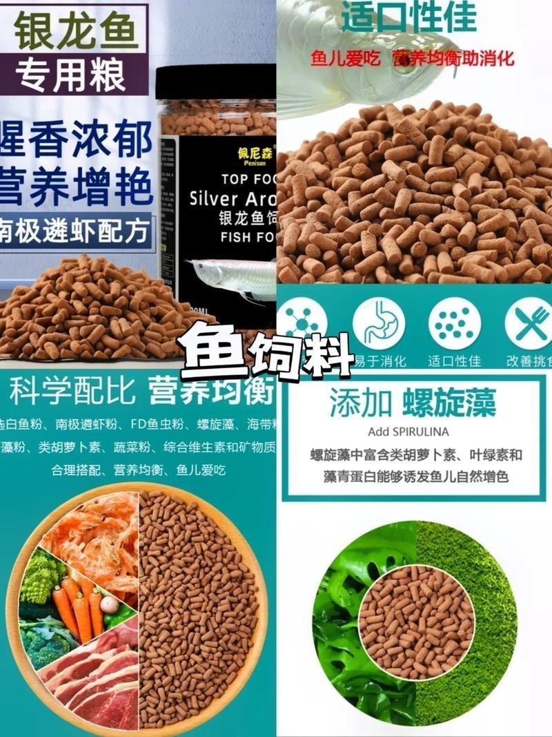 銀龍魚一般喂什么魚料 銀龍魚一般喂什么魚料 龍魚百科 第6張