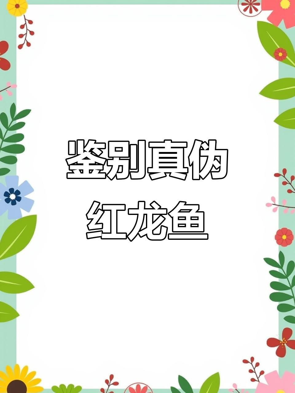 如何辨別紅眼金龍魚的血統純度？
