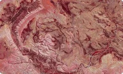 龍魚的作文500字怎么寫：龍魚的作文500字怎么寫， 龍魚的作文500字怎么寫：龍魚的作文500字怎么寫， 龍魚百科 第1張