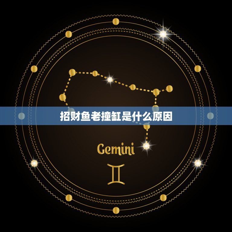 龍魚瘋狂撞缸呼吸急促怎么回事：如何判斷龍魚是否因饑餓撞缸 龍魚瘋狂撞缸呼吸急促怎么回事：如何判斷龍魚是否因饑餓撞缸 龍魚百科 第4張