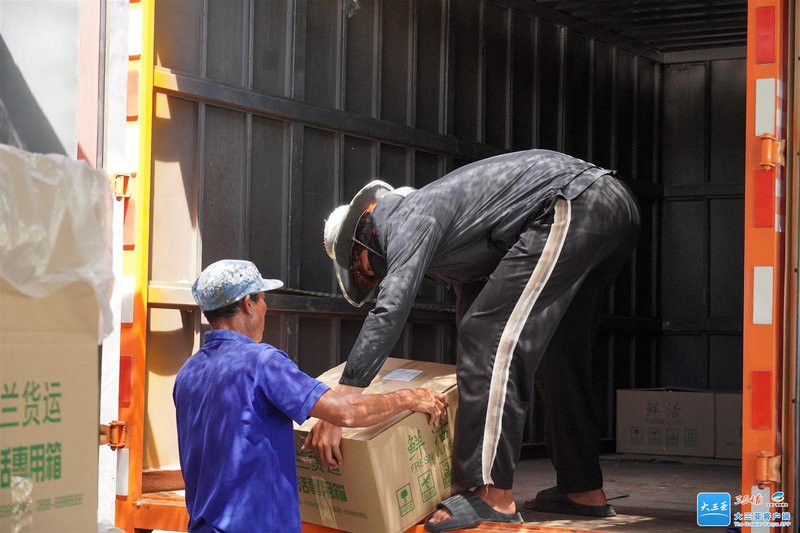 海南金龍魚繁殖基場地址