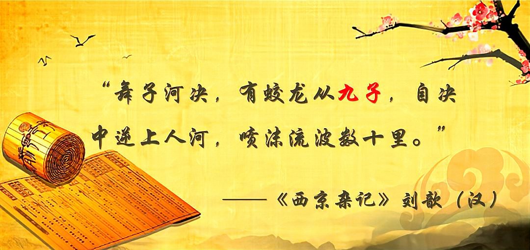 《龍生九子》中哪個章節評論最多？ 《龍生九子》中哪個章節評論最多？ 龍魚百科 第3張