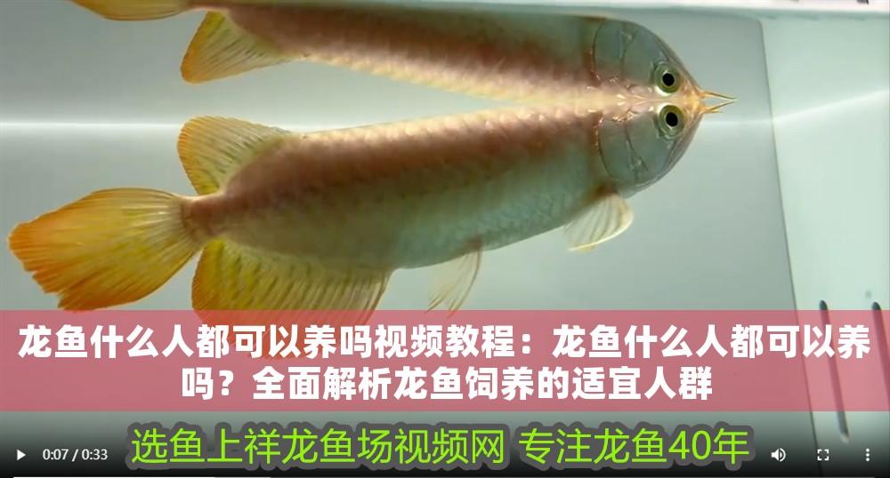 龍魚什么人都可以養嗎視頻教程：龍魚什么人都可以養嗎？全面解析龍魚飼養的適宜人群