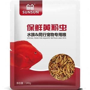 銀龍魚能用黃粉嗎：銀龍魚使用黃粉對魚類具體危害，水族箱水質維護技巧
