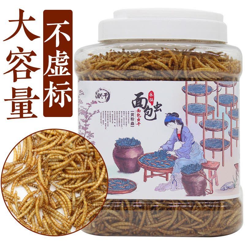 銀龍魚(yú)能用黃粉嗎：銀龍魚(yú)使用黃粉對(duì)魚(yú)類具體危害，水族箱水質(zhì)維護(hù)技巧