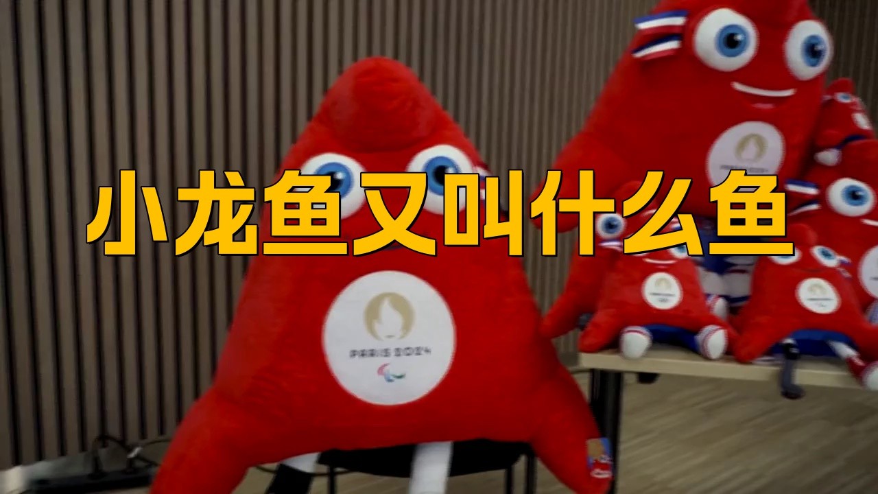 小龍魚學(xué)名叫什么