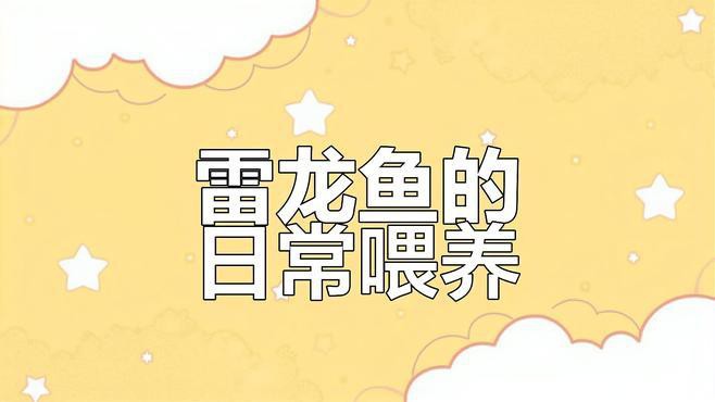 七彩雷龍魚可以喂哪些食物？ 七彩雷龍魚可以喂哪些食物？ 龍魚百科 第4張