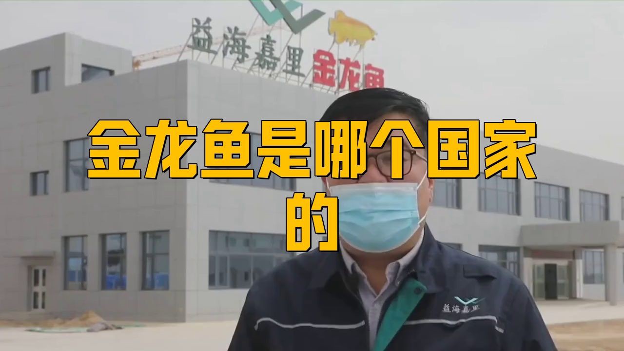 金龍龍魚是哪里的品牌