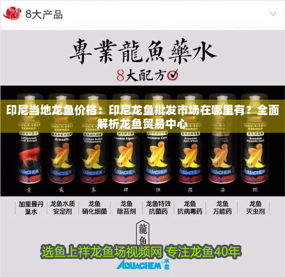 印尼當地龍魚價格：印尼龍魚批發市場在哪里有？全面解析龍魚貿易中心 印尼當地龍魚價格：印尼龍魚批發市場在哪里有？全面解析龍魚貿易中心 龍魚百科 第1張