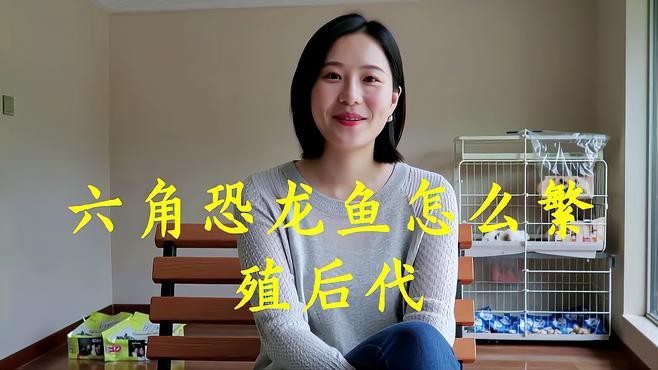 六角龍魚多久繁殖一次？