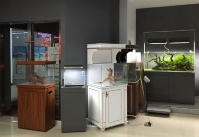 水族館加盟找祥龍魚場（水族館加盟_加盟需要多少錢水族館加盟費查詢網）