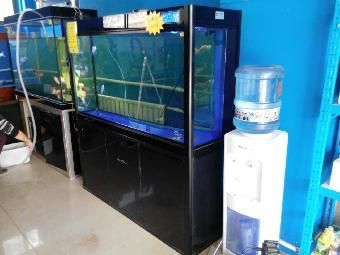 水族館加盟找祥龍魚場（水族館加盟_加盟需要多少錢水族館加盟費(fèi)查詢網(wǎng)）