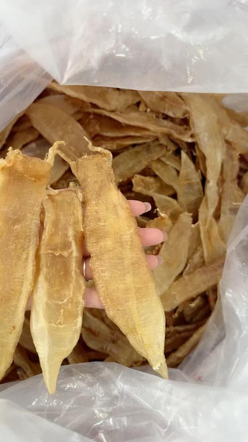 正宗金龍魚膠圖片高清大圖