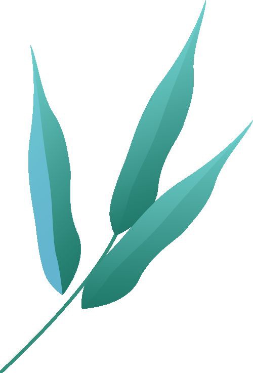 金龍照片 龍魚百科 第9張 金龍照片 金龍照片 龍魚百科 第9張