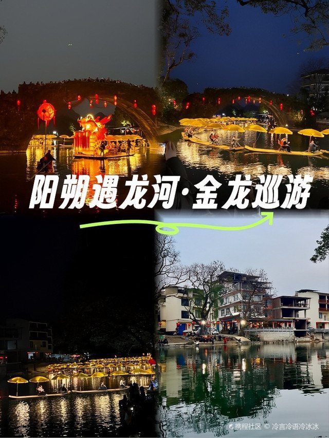 金龍照片 龍魚百科 第11張 金龍照片 金龍照片 龍魚百科 第11張