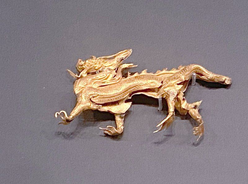 金龍照片 龍魚百科 第1張 金龍照片 金龍照片 龍魚百科 第1張