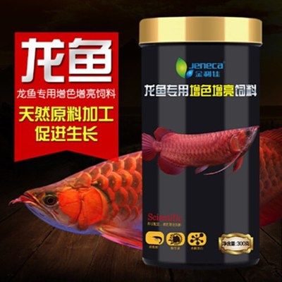 金龍魚吃什么食料長得快：為了促進金龍魚的快速生長飼養者需要精心選擇它們的食物