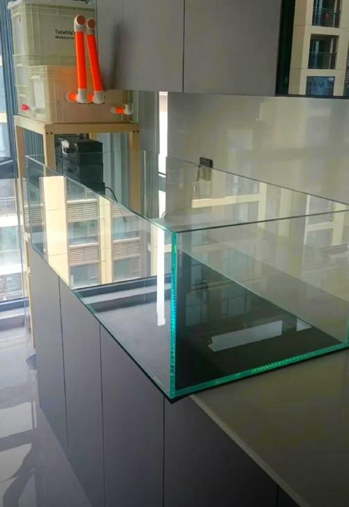 養龍魚用什么魚缸最好看