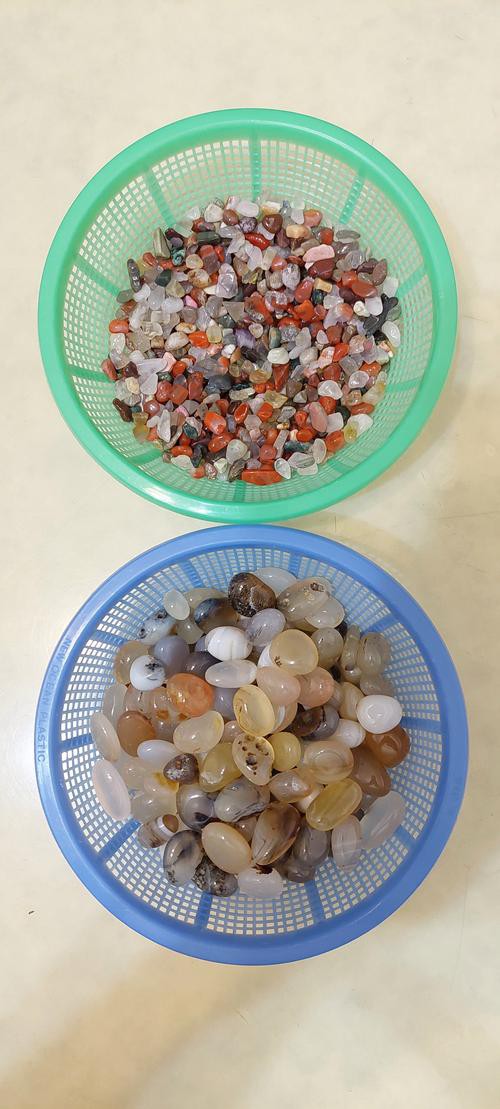 有哪些適合銀龍魚的魚缸裝飾 有哪些適合銀龍魚的魚缸裝飾 龍魚百科 第17張