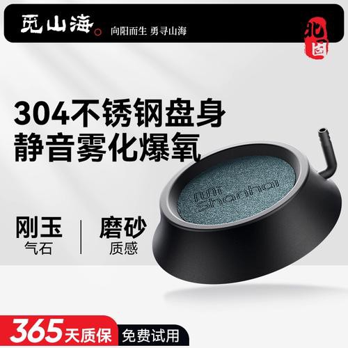有哪些適合銀龍魚的魚缸裝飾 有哪些適合銀龍魚的魚缸裝飾 龍魚百科 第2張