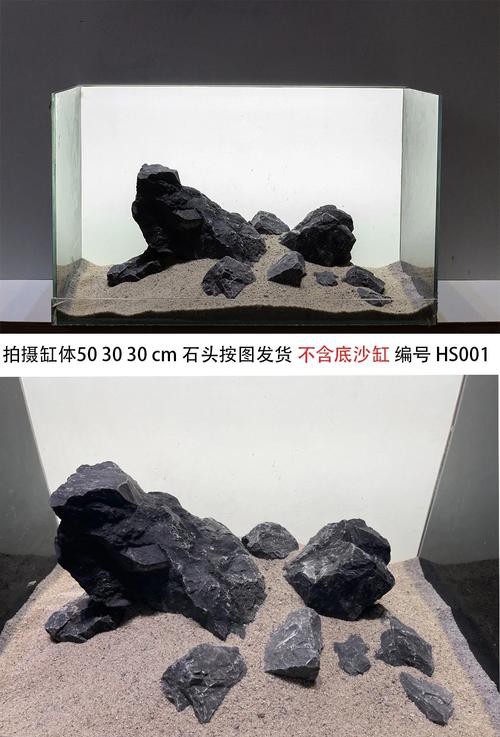 有哪些適合銀龍魚的魚缸裝飾 有哪些適合銀龍魚的魚缸裝飾 龍魚百科 第18張