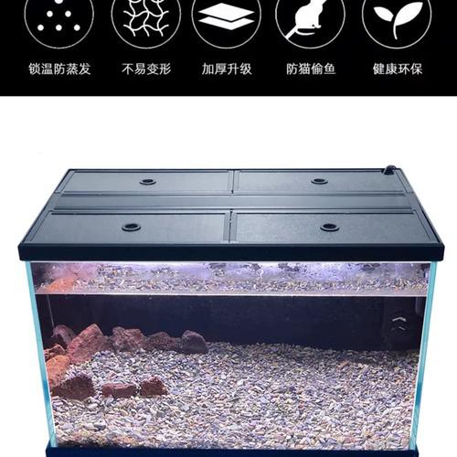 有哪些適合銀龍魚的魚缸裝飾 有哪些適合銀龍魚的魚缸裝飾 龍魚百科 第3張