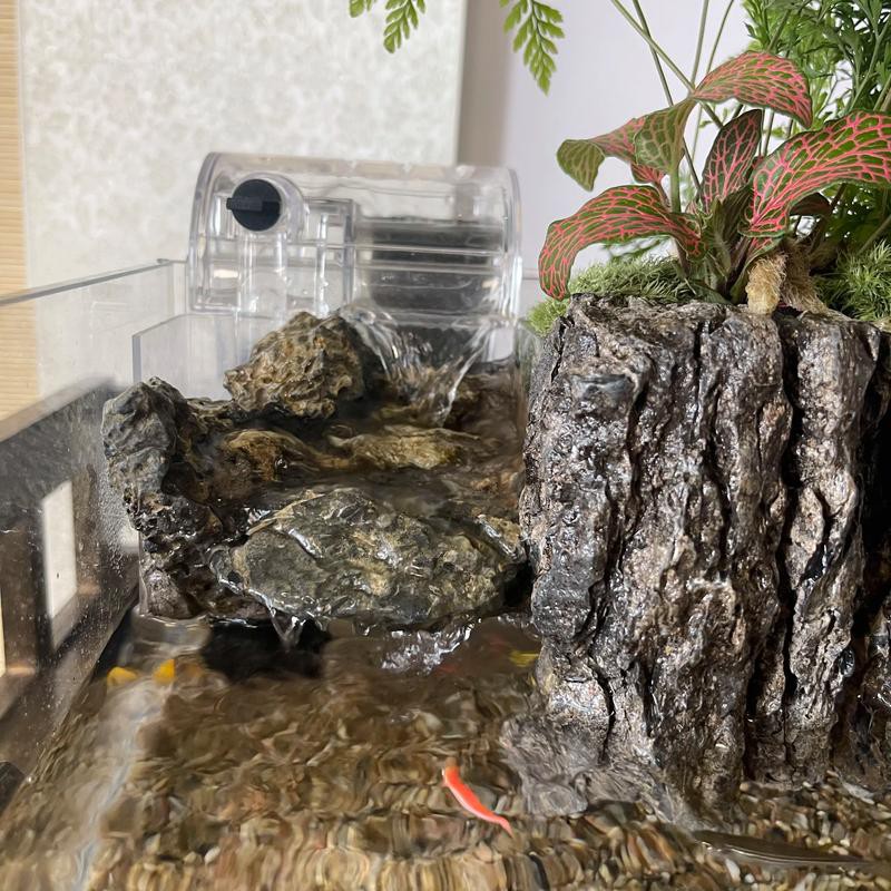 有哪些適合銀龍魚的魚缸裝飾 有哪些適合銀龍魚的魚缸裝飾 龍魚百科 第19張