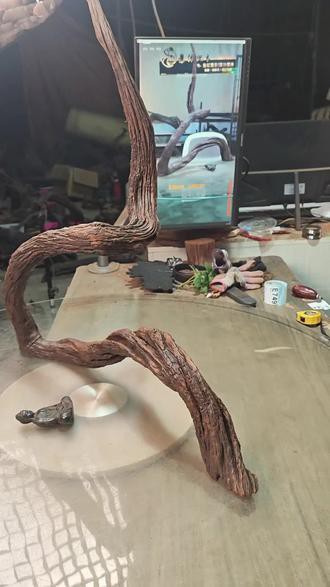 有哪些適合銀龍魚的魚缸裝飾 有哪些適合銀龍魚的魚缸裝飾 龍魚百科 第15張